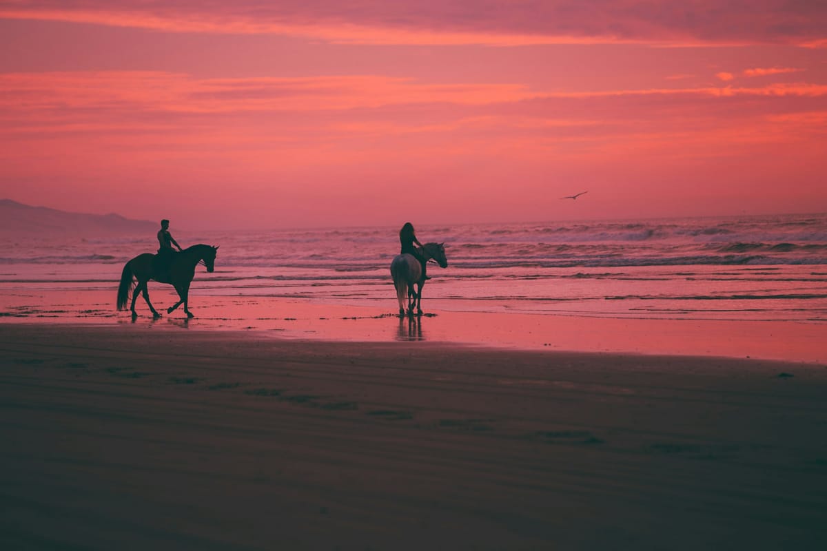 horses on a beach at sunset