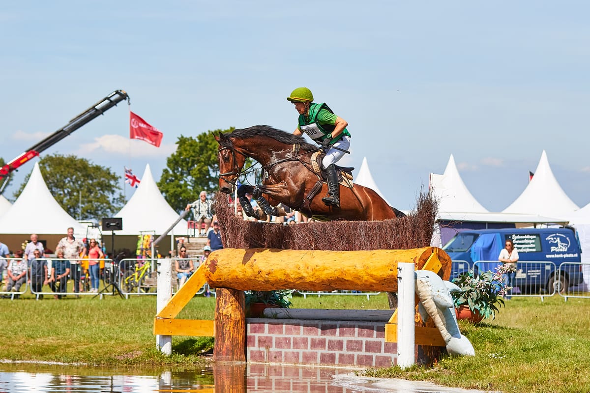 🐕 Horse Events Should Equal a Dog Free Zone