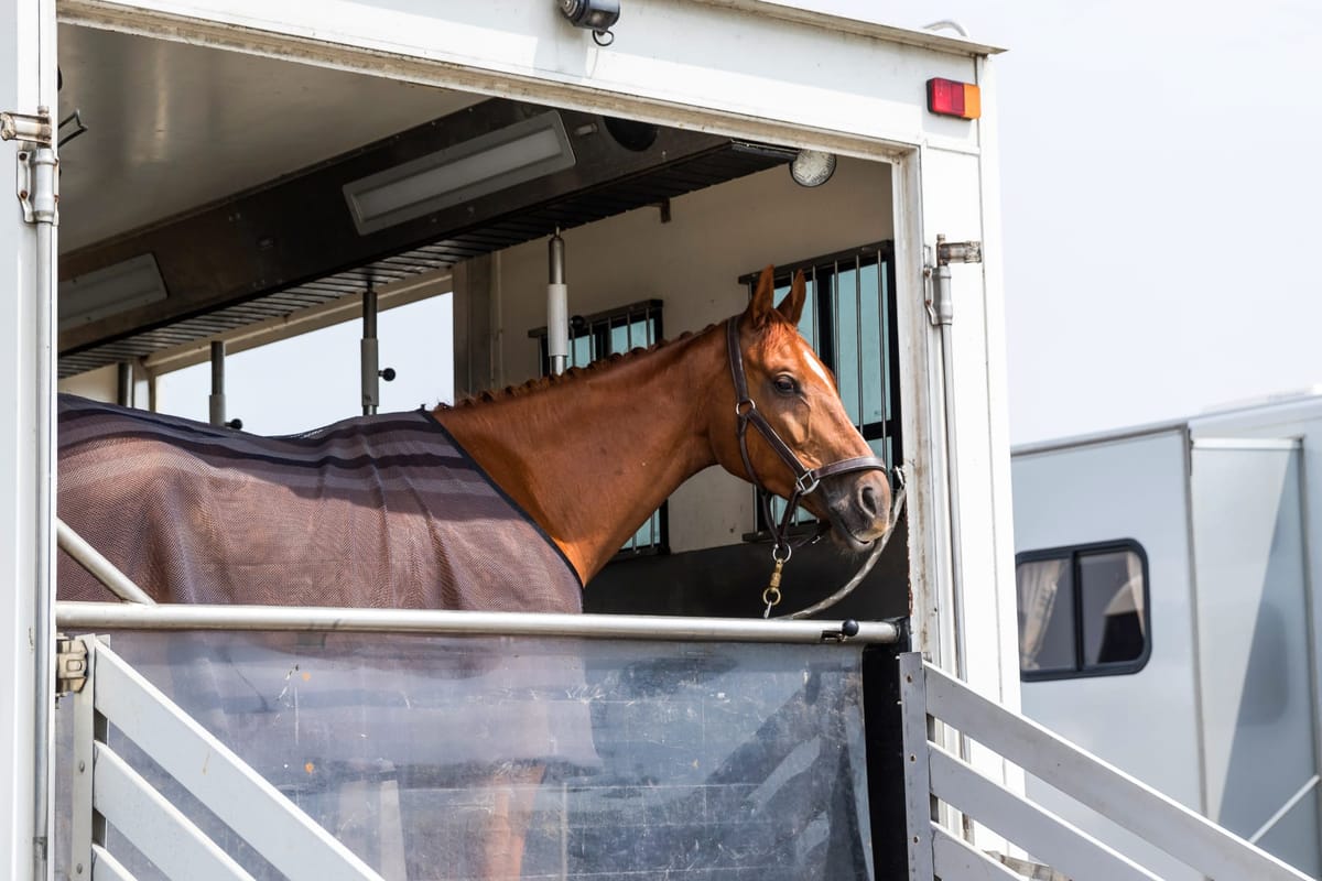 ⛔ MER-ly a Suggestion, Don't Do It...