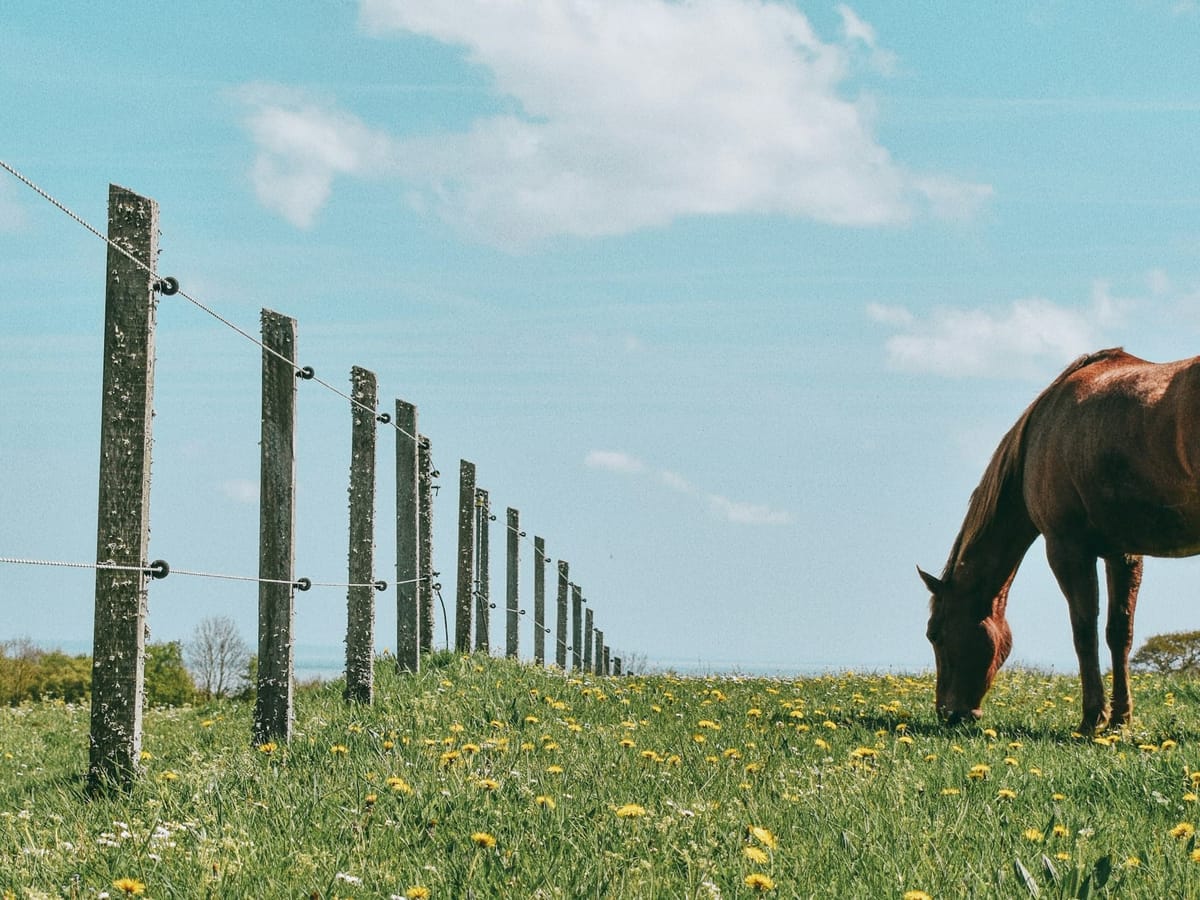 Media, for better or for worse