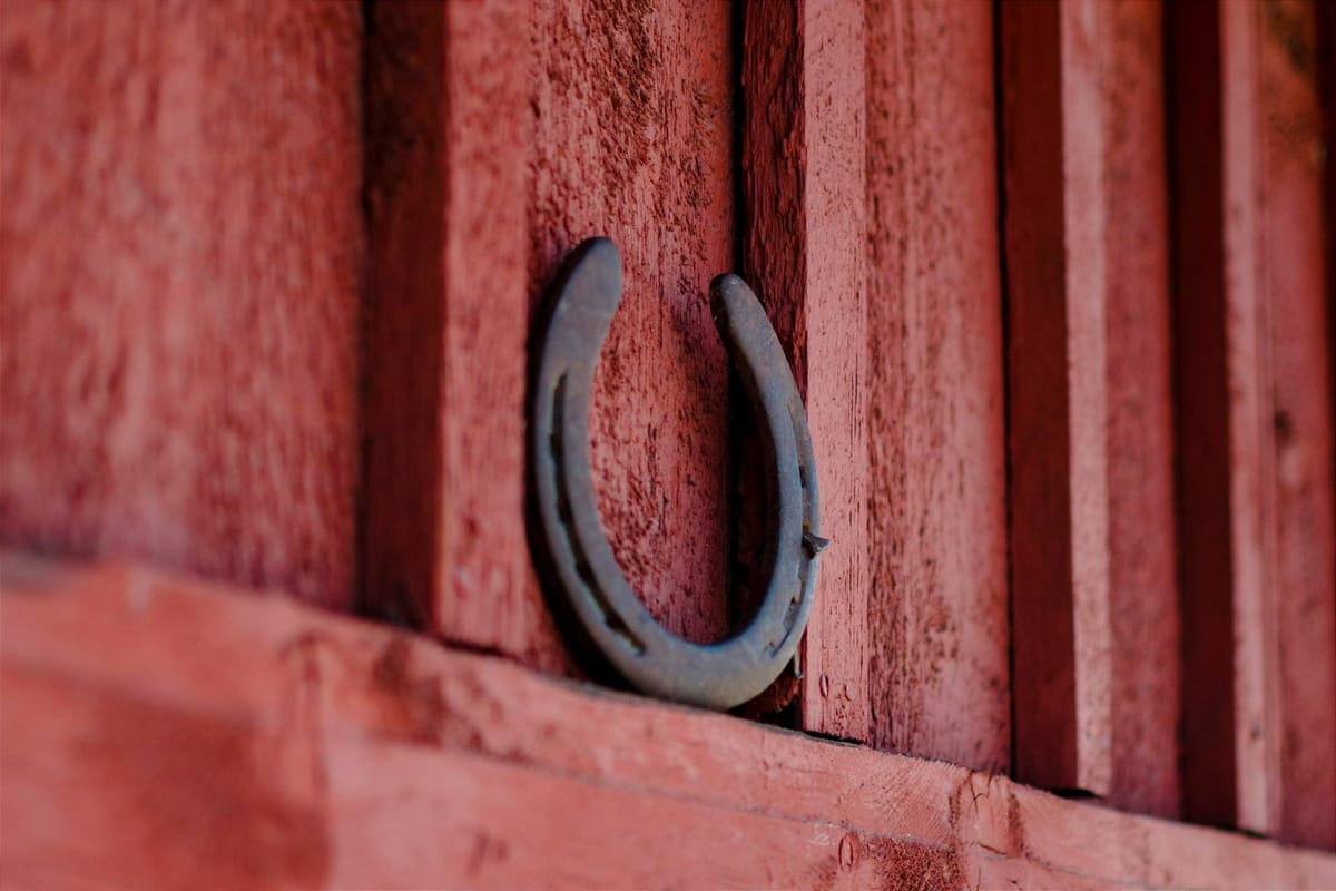 It's never any fault of the officials, never!