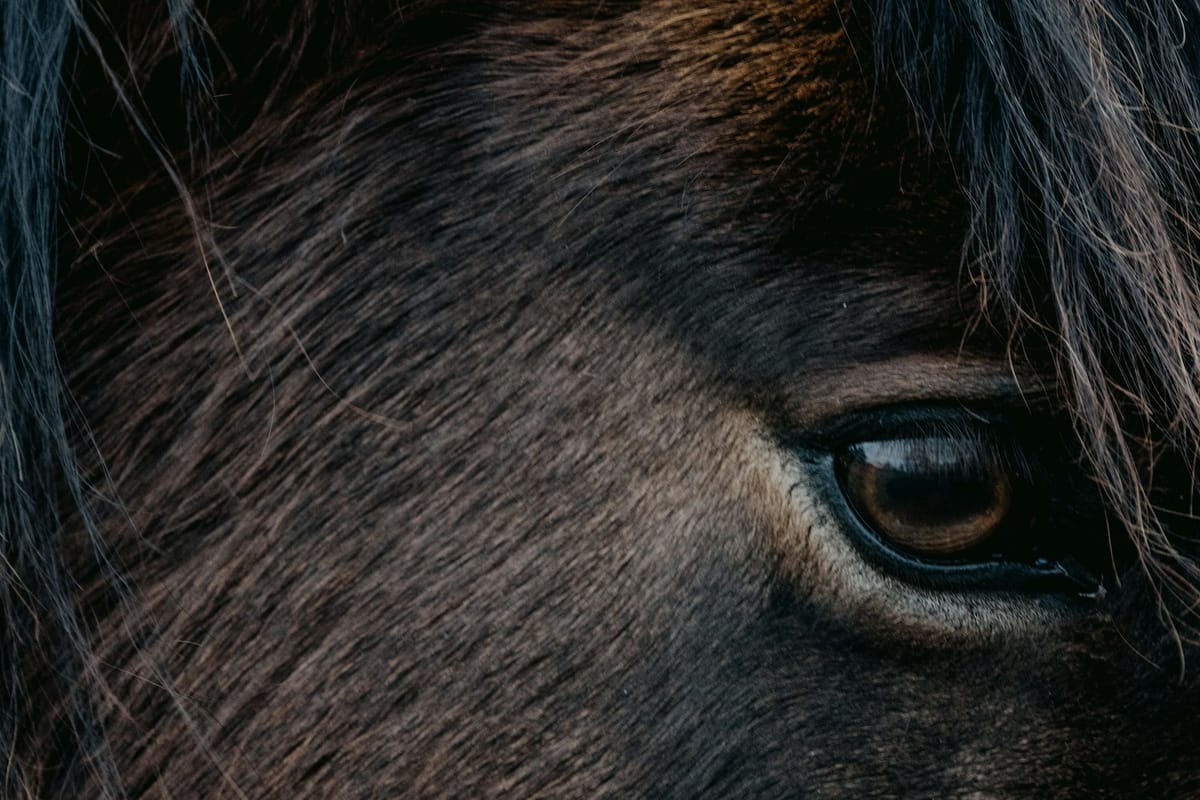 This is why people stop believe in our sport