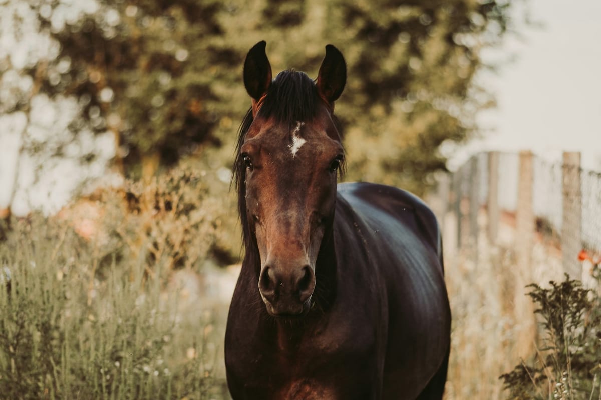 The Sport Where Everything Is Personal (Even When It Isn’t)