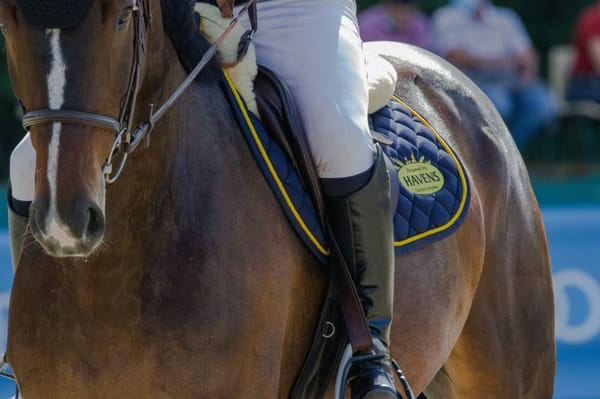 Do We Really Need a Study to Know This?