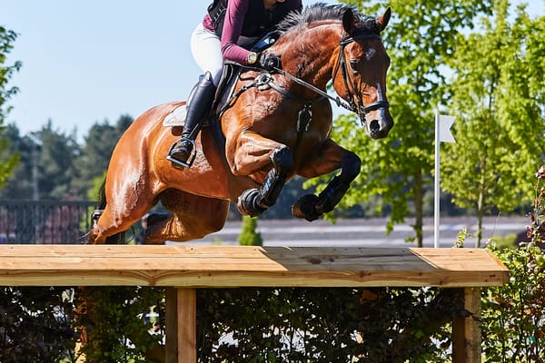 🐴 All Hope is Not Lost!!