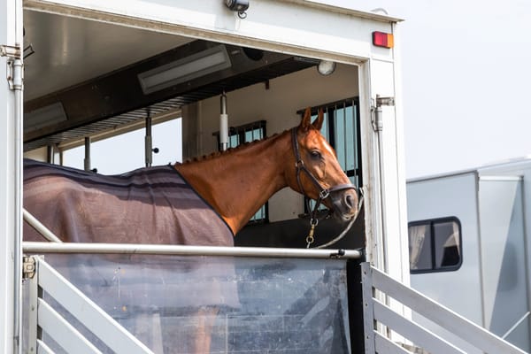 ⛔ MER-ly a Suggestion, Don't Do It...