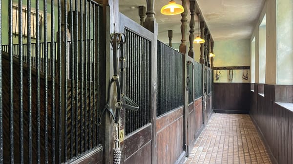 Expired Drugs Behind Open Doors