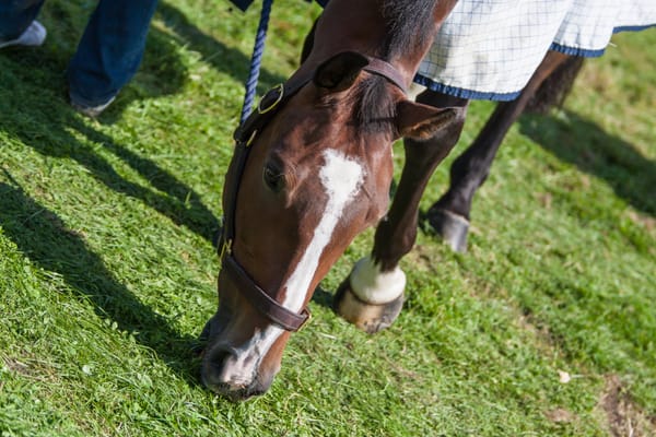 ❗ Do You Remember the Missing Warning Card?