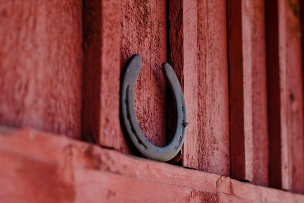 It's never any fault of the officials, never!