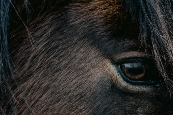 This is why people stop believe in our sport